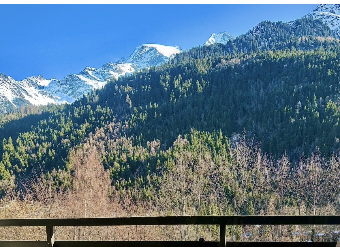 Vue du balcon de l'appartement aux Contamines sur le Dôme de Miage enneigé